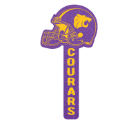 Design 1